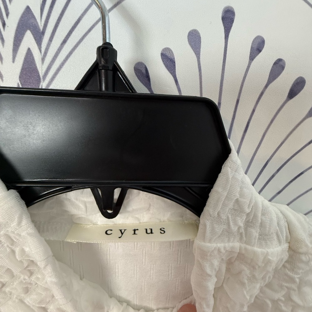 Cyrus White Ribbed Mandarin Collar Blouse - Picture 3 of 3